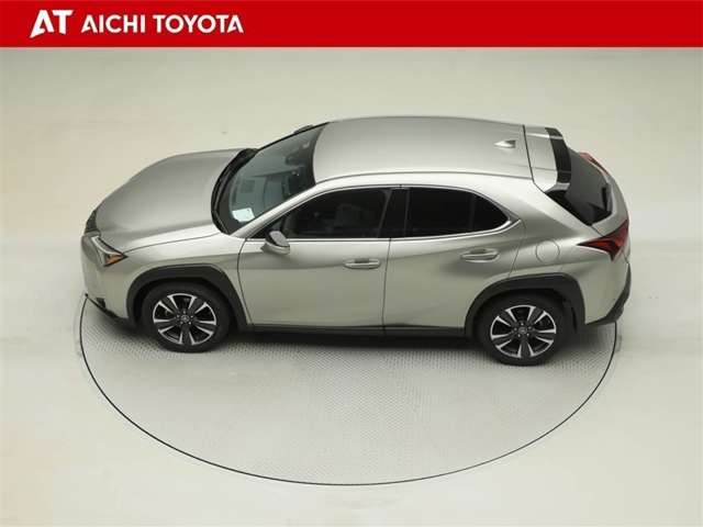 Lexus UX 11