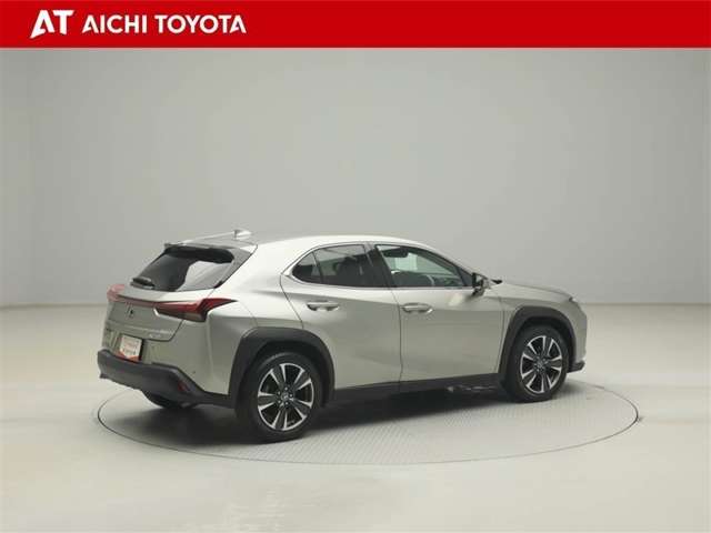 Lexus UX 6