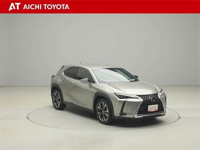 Lexus UX 8