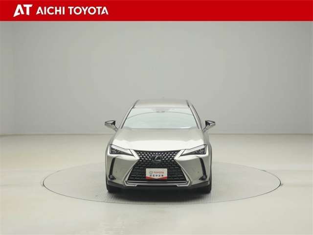 Lexus UX 9