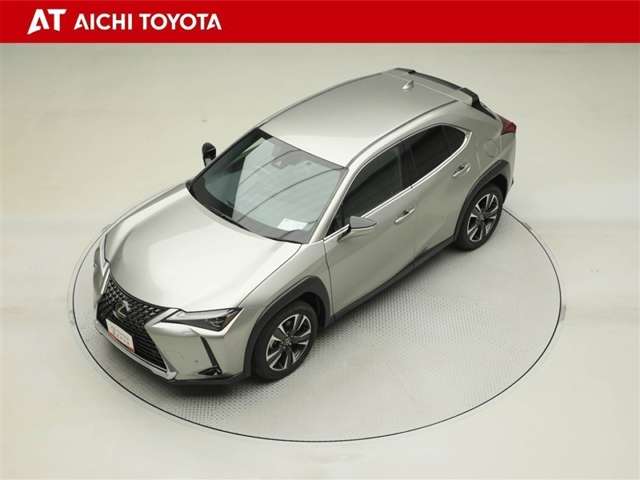 Lexus UX 10