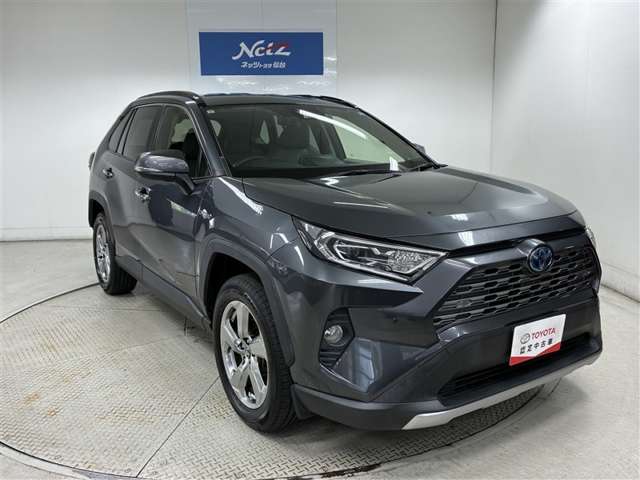 Toyota RAV4 10