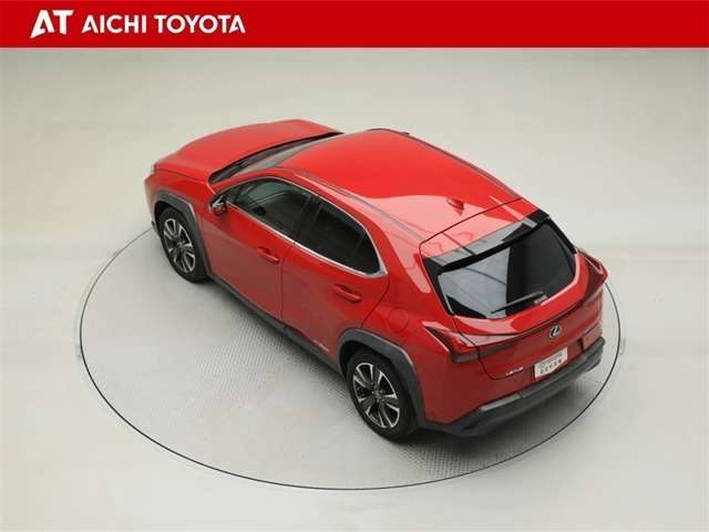 Lexus UX 12