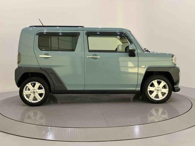 Daihatsu Taft 11