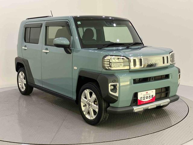 Daihatsu Taft 10