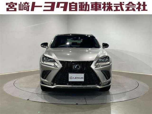 Lexus NX 4