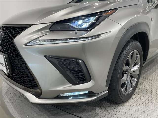 Lexus NX 6