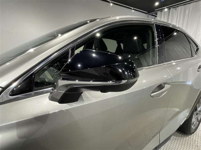 Lexus NX 7