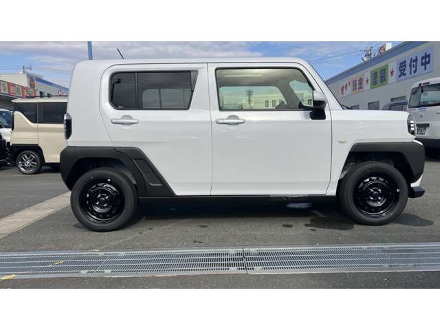 Daihatsu Taft 11