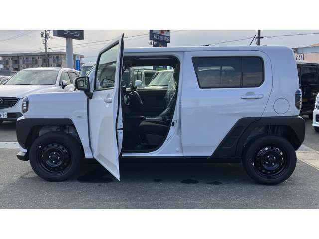 Daihatsu Taft 8