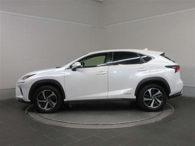 Lexus NX 4