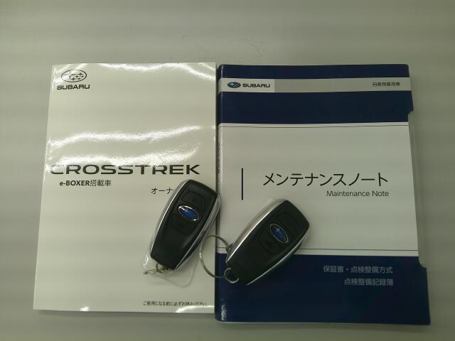 Subaru Crosstrek 9
