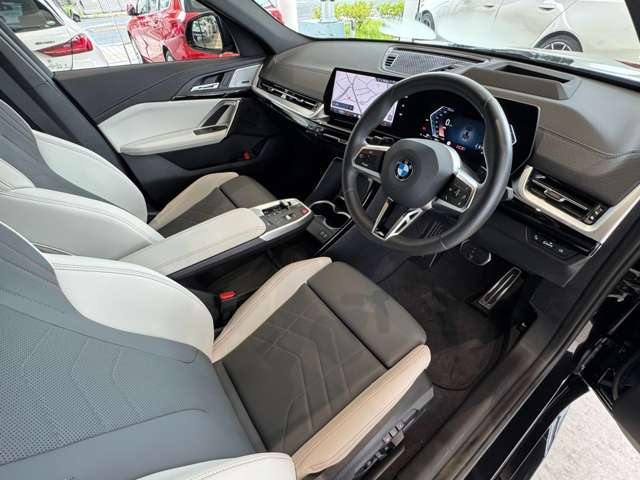 BMW X2 10