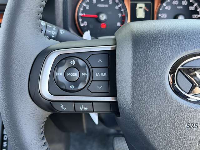 Daihatsu Taft 13