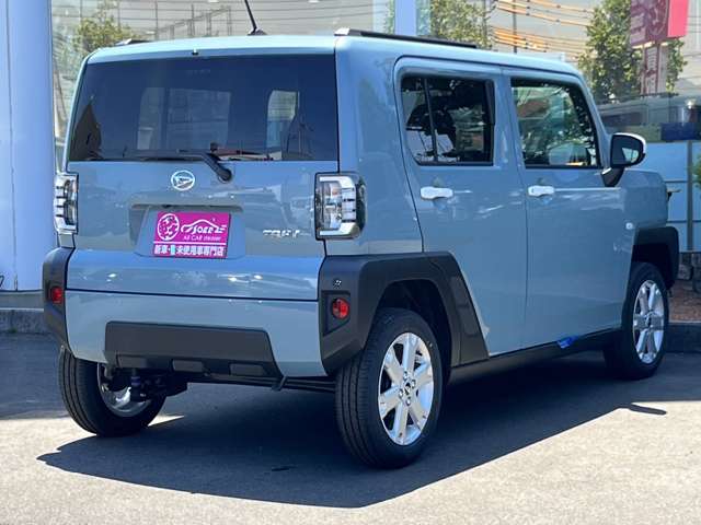Daihatsu Taft 6