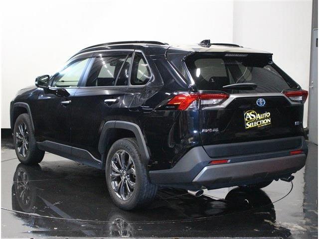 Toyota RAV4 9
