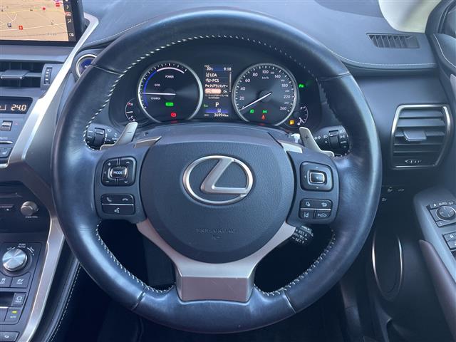 Lexus NX 12