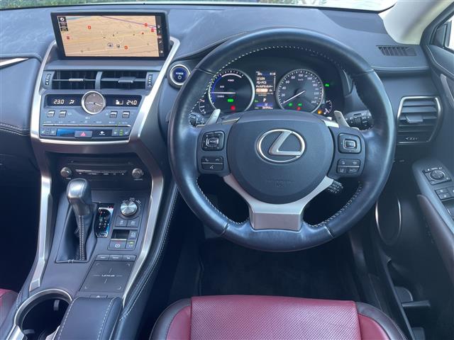 Lexus NX 4