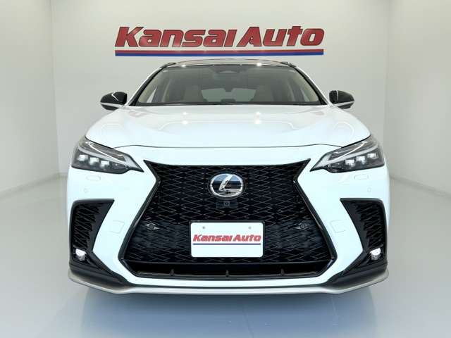 Lexus NX 6