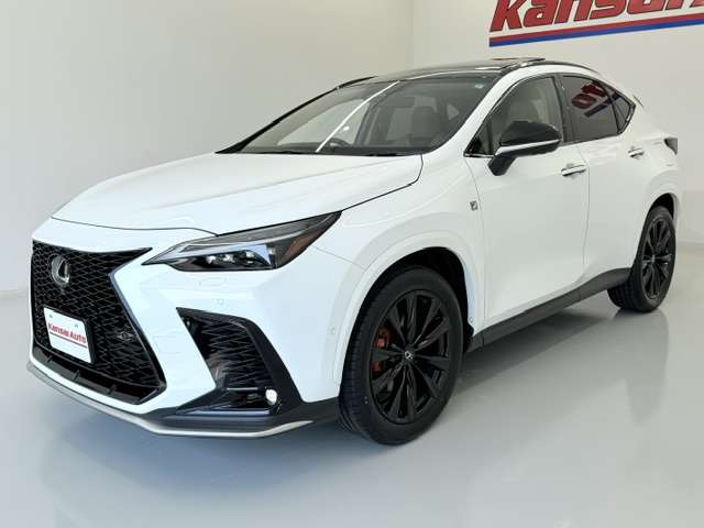 Lexus NX 8