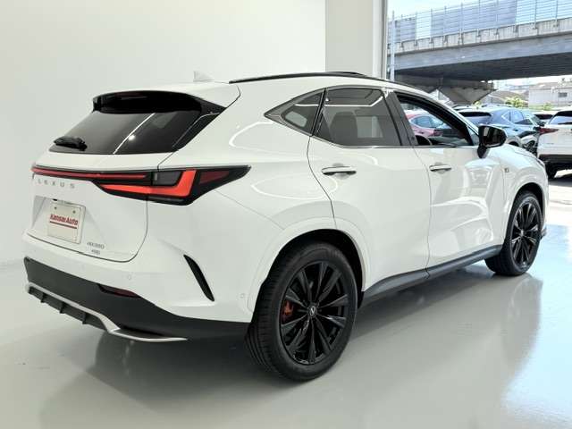 Lexus NX 10