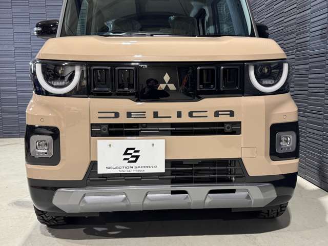 Mitsubishi Delica Mini 6