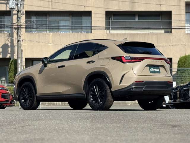 Lexus NX 11