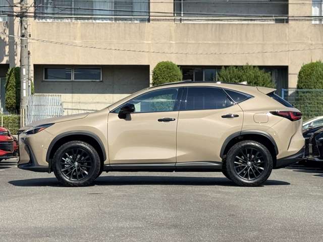 Lexus NX 12