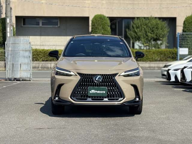 Lexus NX 6