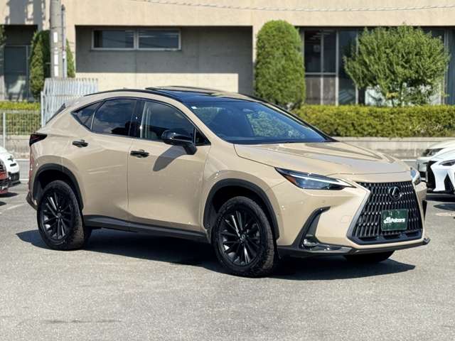 Lexus NX 7