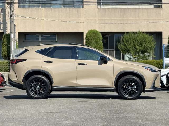Lexus NX 8