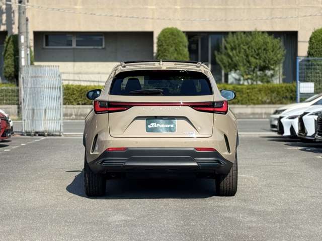 Lexus NX 10