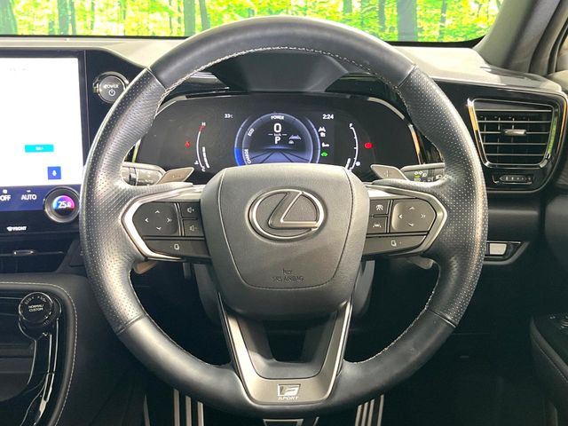 Lexus NX 11