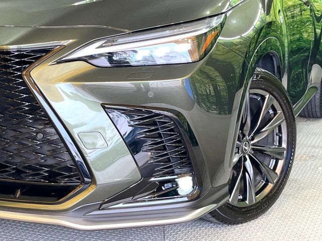 Lexus NX 12