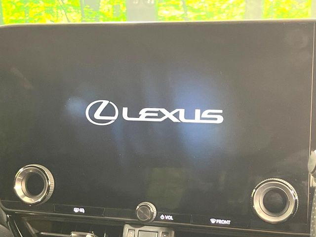 Lexus NX 4