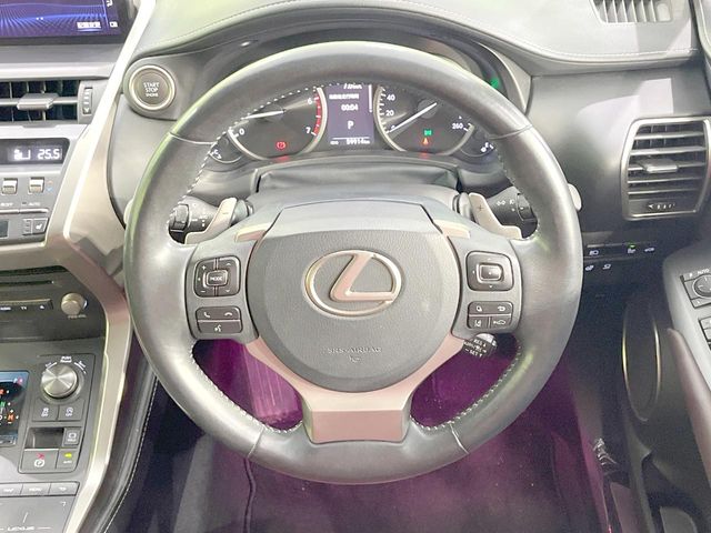 Lexus NX 11
