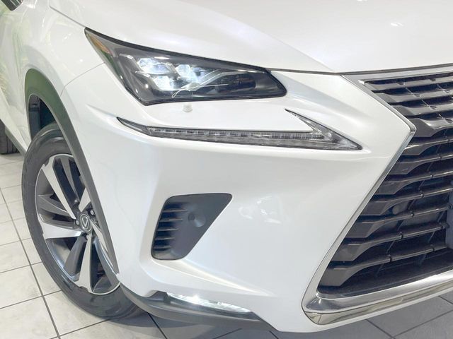 Lexus NX 12