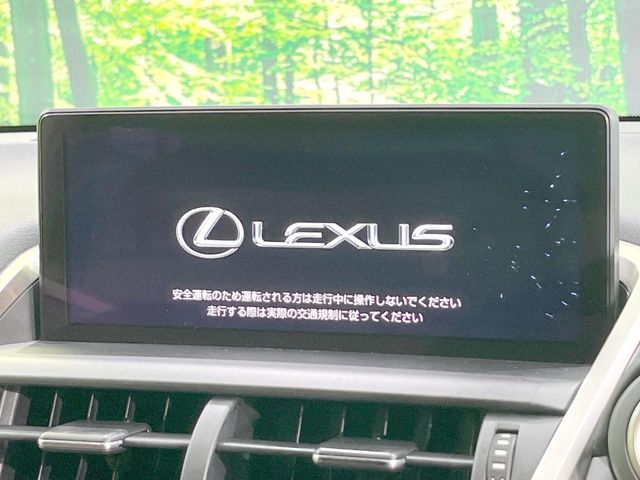 Lexus NX 3