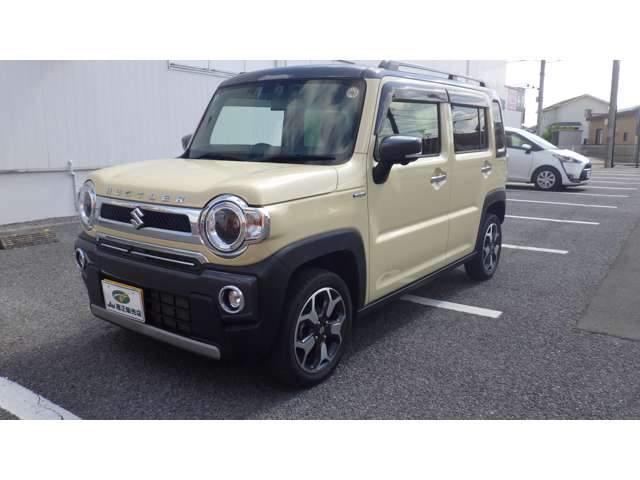 Suzuki Hustler 5