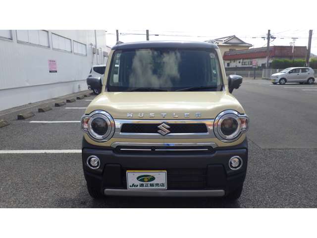 Suzuki Hustler 6