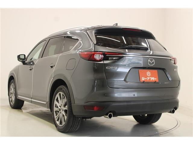 Mazda CX-8 11