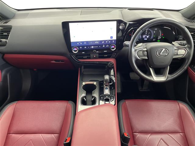 Lexus NX 6