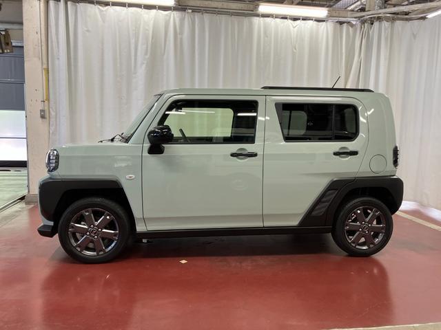 Daihatsu Taft 8