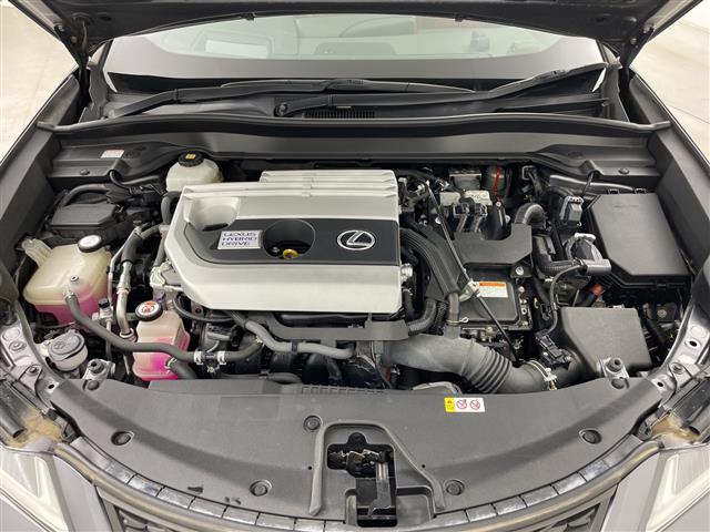 Lexus UX 9