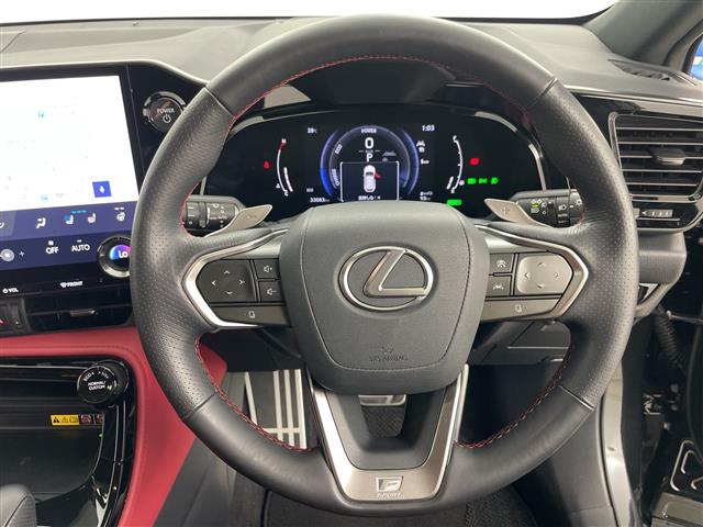 Lexus NX 12
