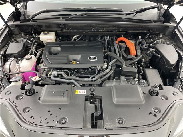 Lexus NX 8