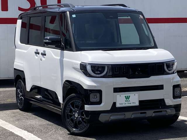 Mitsubishi Delica Mini 11