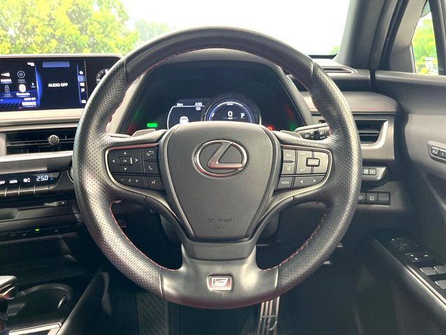 Lexus UX 11