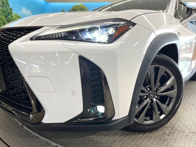 Lexus UX 12