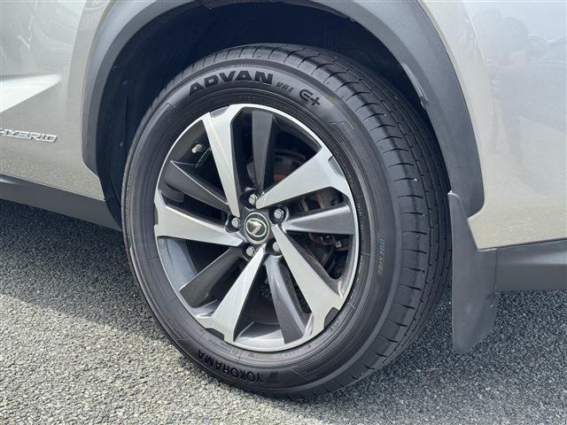 Lexus NX 12